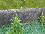 image of grave number 489727